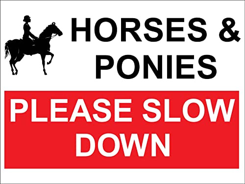 Pferde & Ponys Bitte Langsam Absteigen Warnschild Blechschild Wandposter Dekoschild Für Cafe Garage Wohnzimmer Küche S