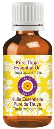 Deve Herbes Pure Thuja Essential Oil (Thuja occidentalis) Non-Sticky | Non-Greasy | Strong Woody Aroma | for Aromatherapy, Massage, Diffuser & Blends 10ml