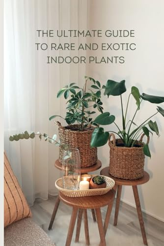 The Ultimate Guide to Rare and Exotic Indoor Plants