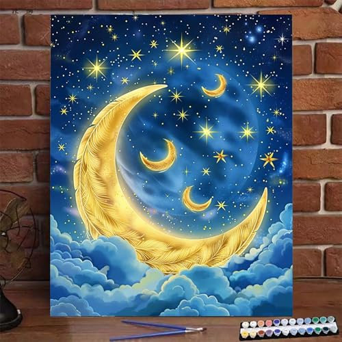 Pintar por Numeros Adultos con Bastidor Luna, Cielo Estrellado DIY Pintura por Numeros Kit, Pintar con Numeros Adultos Pinceles y Accesorios Pintura Acrílica, Decoración para Hogar Regalo 50x65cm P-U