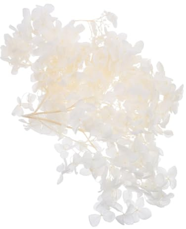 HAPINARY 1 Confezione Petali di Ortensia Essiccati Naturali Chiari per Decorazioni Fiori Secchi Matrimonio Feste Nail Art Accessori Creativi