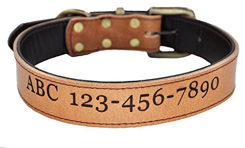 Moonpet Hundehalsband aus echtem Leder, weich, gepolstert, personalisierbar, für kleine, mittelgroße und große Hunde, Größe L, 41,5 - 54,8 cm