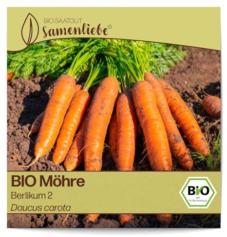 Samenliebe BIO Möhren Samen alte Sorte Berlikum 2 Karotte Wintermöhre orange 800 Samen samenfestes Gemüse Saatgut für Gewächshaus Freiland und Balkon BIO Gemüsesamen winterhart