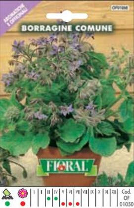 Semillas de plantas aromáticas y oficinales, en bolsita, para uso amateur