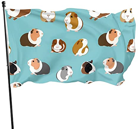 Drapeau 0,9 x 1,5 m Bannière décorative d'extérieur Grand Cochon d'Inde Drapeau amusant Couleur vive en polyester sonnier pour