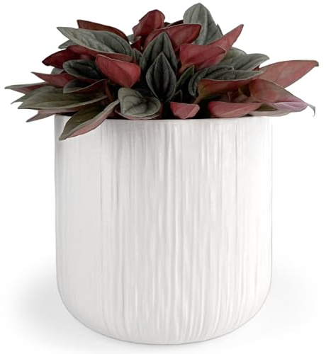 Vimin Box Élégant Pot pour orchidées en Terre Cuite | diamètre 14 cm, Hauteur 13 cm | Pot décoratif pour Plantes succulentes, Fleurs, bonsaï | élégant Cache-Pot d'intérieur Moderne (Blanc Mat - Rayé)