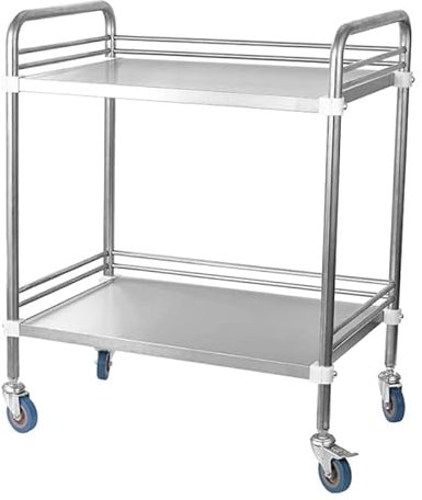 YYDM Laborwagen, Servierwagen Edelstahl Küchenwagen, 2/3 Schicht Rollwagen Maximale Last 100 Kg mit Leisen Rädern Einfach zu Lagern und zu Bewegen (4 Größen) (Color : 2 Layer, Size : 66x44x86)