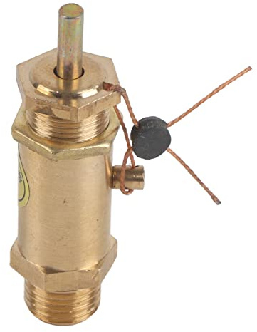 ZUUOZBYY G1/4 Air Compressor Safety Release Pressure Valve for Boiler Steam Generator