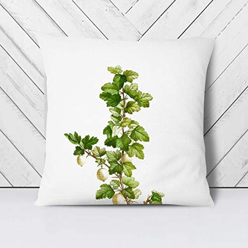 Big Box Art Gooseberry Bush by Pierre-Joseph Redoute - Cushion Cover Throw Pillow with Insert for Sofa Chair Bed - White Rear - 40x40 cm