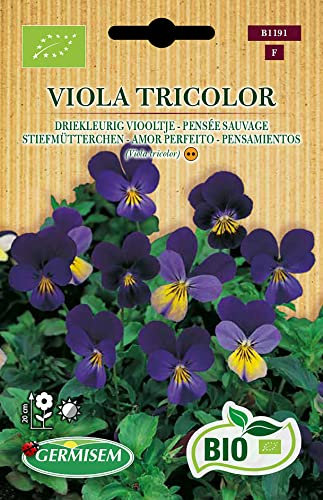 Germisem Stiefmütterchen VIOLA TRICOLOR, ECBIO1191