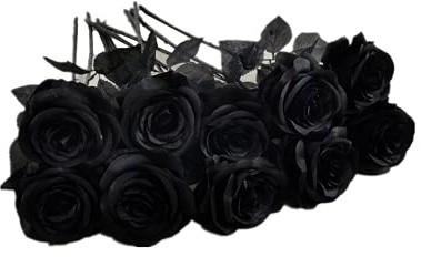 Rikyo Lot de 10 Roses artificielles à Tige de 48 cm - Ne se décolorent Pas - Fleurs artificielles en Soie - pour Accessoires Photo, fête, Mariage, Arrangements Floraux (Noir)