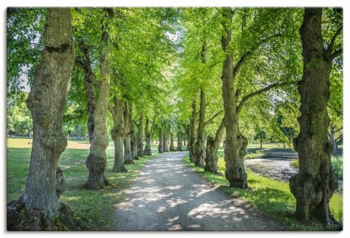 ARTLAND Wanddeko Leinwand Bilder Wandbild 90x60 cm Landschaften Pflanzen Park Allee Bäume Linden Sommer Stockholm Schweden U4RI