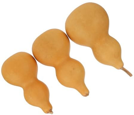 ARTSEWPLY Adornos de Calabaza Seca Natural 3 Piezas Decoración Artesanal para Hogar y Oficina Miniaturas de Calabazas de 9-12 CM sin Tallo Decoración Feng Shui China Objetos para