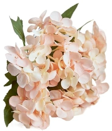 DKJAHSEK 4 Piezas de hortensias de Seda Artificiales, Flores de simulación de hortensias Falsas, Ramo Azul for Bricolaje, Mesa de Boda, Decoraciones for Fiestas en el hogar(Champagne)