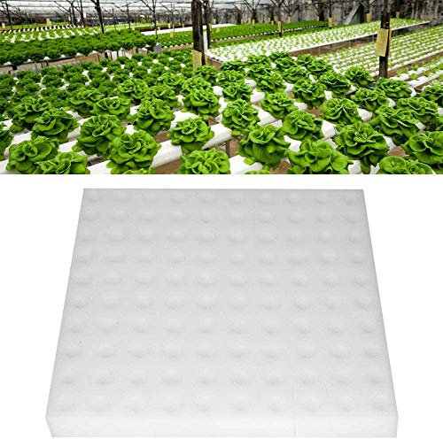Wifehelper Hydroponischer Schwamm, 100Pcs Hydroponik Samen Wachsende Mittel Schwämme, die Gartenarbeit Werkzeug für Kleines Knospen Wachstum Pflanzen oder Sämlinge Wachsen