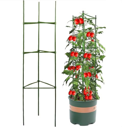 Pflanzenhalter, Pflanzen Kletterhilfe, Tomatenkäfig, Tomaten Rankhilfe Pflanzen, Kletterhilfe Pflanzenstützen Rankkäfige, Kunststoff beschichtetes Stahlrohr(Grün) (Eine Gruppe)