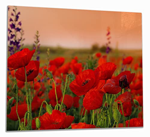 Wallario Herdabdeckplatte/Spritzschutz aus Glas, 1-teilig, 60x52cm, für Ceran- und Induktionsherde, Mohnblumen auf dem Feld