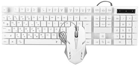 ADITAM Combo Clavier Souris Filaire USB, Clavier de Jeu mécanique rétroéclairé par LED, avec Conception Ergonomique, Plug and Play, pour Jeux, Ordinateur Portable et Bureau (Blanc) Double The Comfort