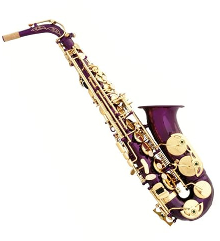 Saxophone Lila Altsaxophon in Es für Anfänger