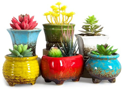 ARTKETTY Succulent Plant Pot - 6PCS Ceramic Plant Pots with Drainage, Small Pot for Indoor Cactus Flower Plants Decorative Garden Home Office