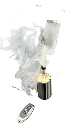 Machine à brouillard/fumée avec télécommande sans fil pour DJ, danse, fête, photographie, événements, effets de scène, Halloween, vidéo, affichage de produits (cadeau noir)