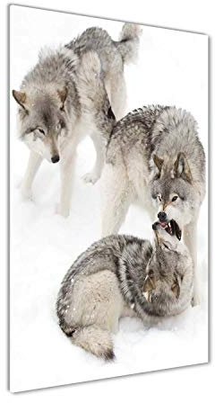Tulup - Impression sur Verre Acrylique - 70x140 - Image sur Plexiglas - Déco Mural derrière Le Plastique - Tableaux pour la Mur - Mural Art - Décoration - Animaux - Gris - Loups Gris