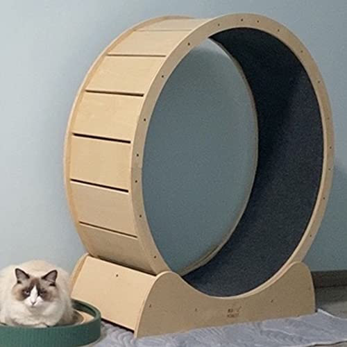 Laufrad für Katzen, Massivholz, Laufband für Katzen, Übung – Katzenspielzeug/Katzenlaufrad für den Innenbereich mit Bremse, Robustes Katzenlaufrad, klein, mittel, groß, leise, sicher (Größe: