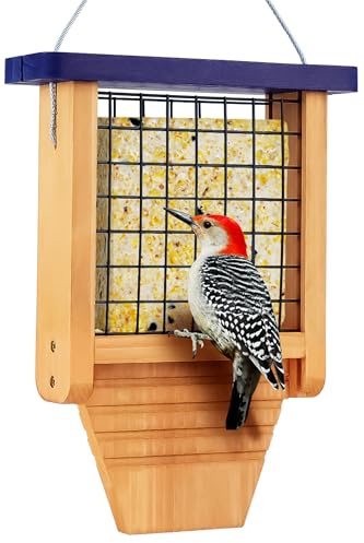 Gbekery Wooden Suet Bird Feeder for Outside Hanging, Woodpecker Suet Feeder with Tail Prop, Hanging Bird Feeder for Wild Birds, 1 Pack, Blue