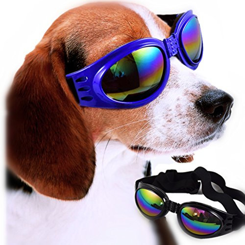 Maibar Hund-Sonnenbrille im Freiensport für eine Fahrt-Haustier-Dekoration-Glas-Party-Gläser (Schwarz)