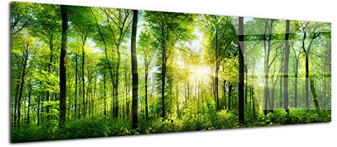 DECLINA – Tableau Mural forêt verte – Tableau Feuilles D’Automne Esprit Cocooning – Photo Murale Sur Verre Acrylique – Fabriqué En France