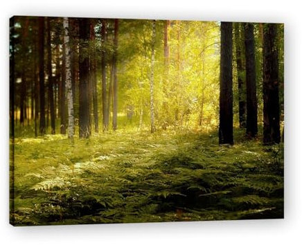 xukgmsg Farne Leinwandbild Waldlandschaft Bild Moderne BäUme NaturgemäLde Leinwanddruck Wandkunst BäUme Naturkunst FüR Zuhause BüRo Wohnzimmer Schlafzimmer Badezimmer 105x80cm