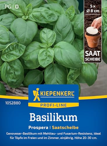 Kiepenkerl Profi-Line Basilikumsamen Prospera 1052880 - Robuste Basilikumpflanze für Frische & Geschmack, resistent gegen Mehltau, Basilikumsamen für 5 Pflanzen