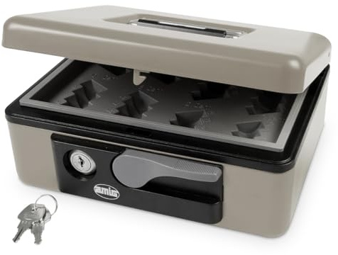 Amig - Caja de caudales | Caja de seguridad para dinero, billetes y monedas | Con bandeja portamonedas y 2 llaves | Color Gris | Acero | 230 x 185 x 80 mm
