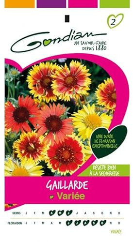 Gondian - Gaillarde variée