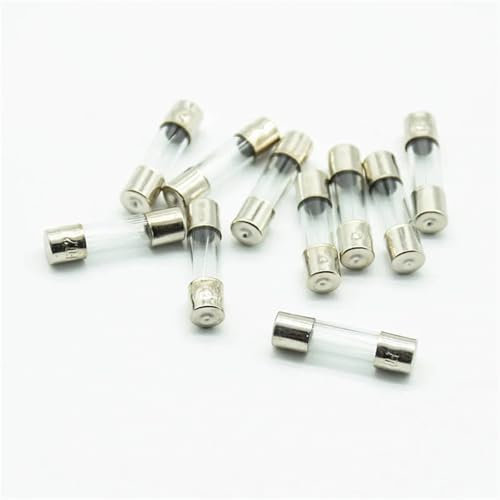 5x20mm Flinke Glasrohrsicherung Assorted Kit Flinke Glassicherungen 0,5A-20A/250V 20St(2A)