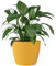 KONZEPT Vaso da fiori grande, giallo, struttura scanalata, 30 cm, per piante da interno, in plastica, ideale per soggiorno, cucina e balcone