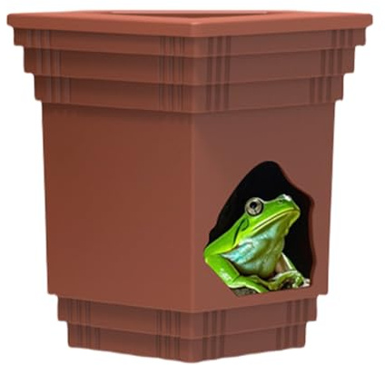 di mangime per rettili | 2 in 1 cavità rettile con per mangimi | accessorio per acquario ideale per granchi rana leopardata