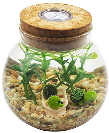 OMEM LED Aquarium Set Moss Ball, Seaweed, Gravel, Tortoise, Boat Micro Landscape Ecological Bottle Glass Wishing Bottle Table Decoration Unique Birthday Gift