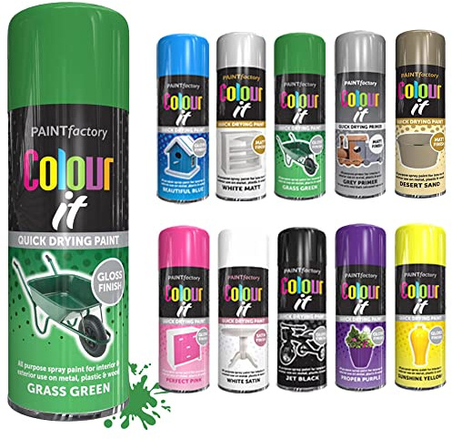 SCHNAZZ - 1 x All Purpose Grass Green Aerosol Spray Paint 250ml Fast Dry, Quick Drying Spray and Excellent Coverage for Wood, Metal, Plastic, Glass and More