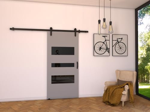 MINIO go for it - Schiebetür Komplettset LIFT C, 86 cm Breit, Schiebetüren, Wandmontage, Schiebetürsystem, Zimmertüren - Grau Matt