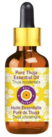 Deve Herbes Pure Thuja Essential Oil (Thuja occidentalis) Non-Sticky | Non-Greasy | Strong Woody Aroma | for Aromatherapy, Massage, Diffuser & Blends 30ml with Glass Dropper