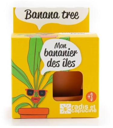 Radis et Capucine - Pot avec coupelle - Bananier - 8 cm