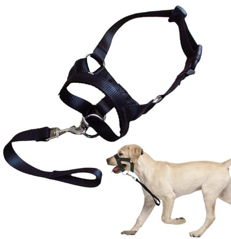 Maulkorb Für Hunde - Trainingsgeschirr Hundehalfter Maulkorb Mit Verstellbaren Trägern - Schwarzer Hunde-Mundschutz-Trainingshalter -Verhindert Bellen, Beißen Und Kauen