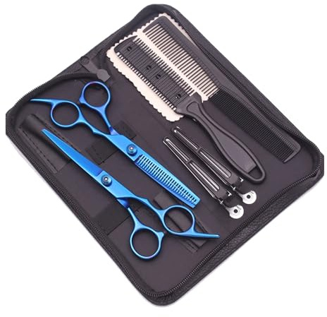 Hair Scissors Hairdressing 6 Haircut Set Thinning Shears Razor Combs C1001(C1001 Lan-K-P)
