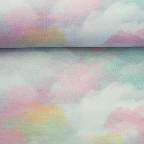 French Terry CLOUDY by Christiane Zielinski – Sweatstoff mit Wolken | 2 Frben | 95% Baumwolle 5% Elasthan | 245 g/m² | 150 cm Breite | OEKO-TEX® | Meterware ab 50 cm (hellblau-mint)