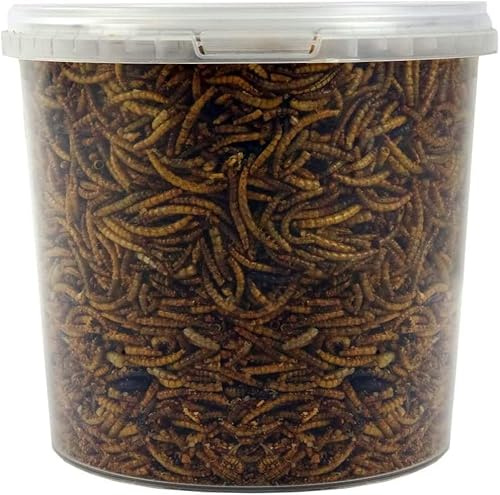 SQUAWK Gusanos Secos - Alimentos para Pájaros Salvajes, Ideal para El Jardín (5L)