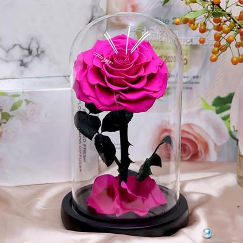 ZEYRU Prince Preserved Fresh Rose In Glass Dome Home Indoor Decor Mother's Day Valentine's Day Holiday Flower Gift-rosy,with light