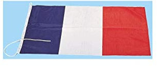 DEJEAN MARINE INDUSTRIE PAVILLON National 30 X 45CM
