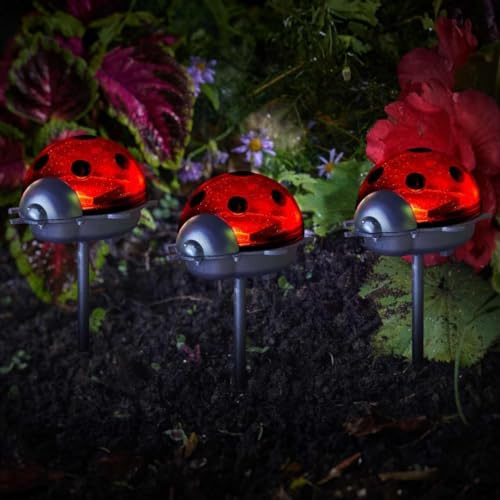 Garden Mile Set Of 3 Ladybird Solar Stake Lights Brightly Coloured Solar Garden Lights Outdoor Waterproof Ideal For Flowerbeds Borders Driveway Pathway Lighting Outdoor Decorations