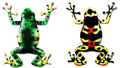XCSJ Metall Frosch Wanddekoration Eisen Frosch Skulptur Wandkunst Hängend Wandskulptur Skulptur Wanddekoration Outdoor Garten Frosch Ornamente für Zaun, Garten, Hof, Home,Schlafzimmer- 2 Pcs (C)